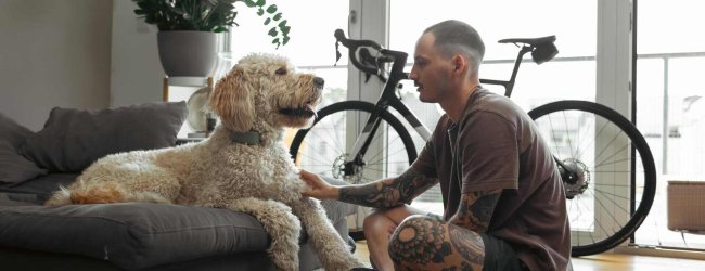 Un uomo che si prepara a lasciare il suo cane da solo a casa.