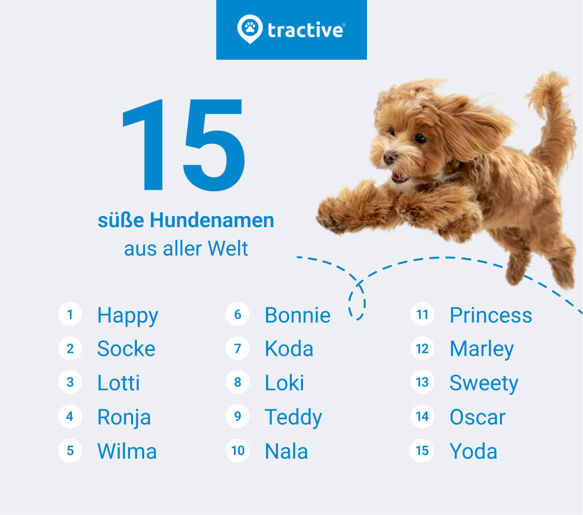 15 süße Hundenamen aus aller Welt