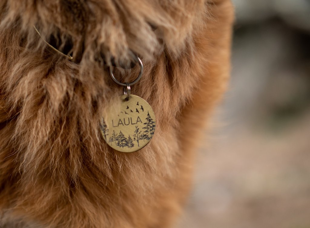 primo piano di una medaglietta con un nome agganciata al collare di un cane