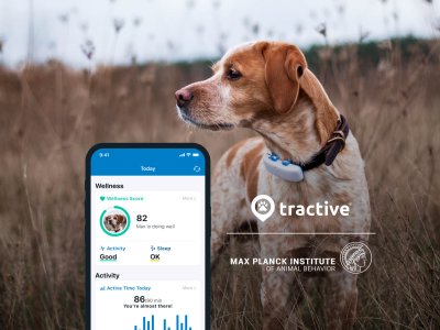 Dog with GPS tracker on collar standing in a field, screenshot of Tractive GPS app