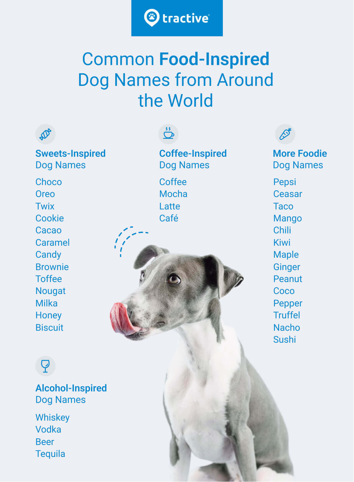 list of food inspired dog names from around the world - info graphic from tractive