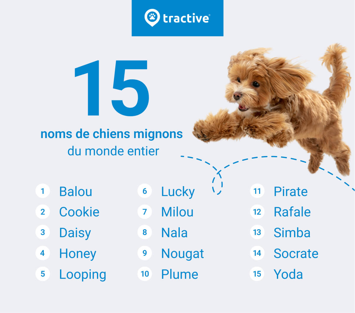 Les 15 noms de chien les plus mignons du monde
