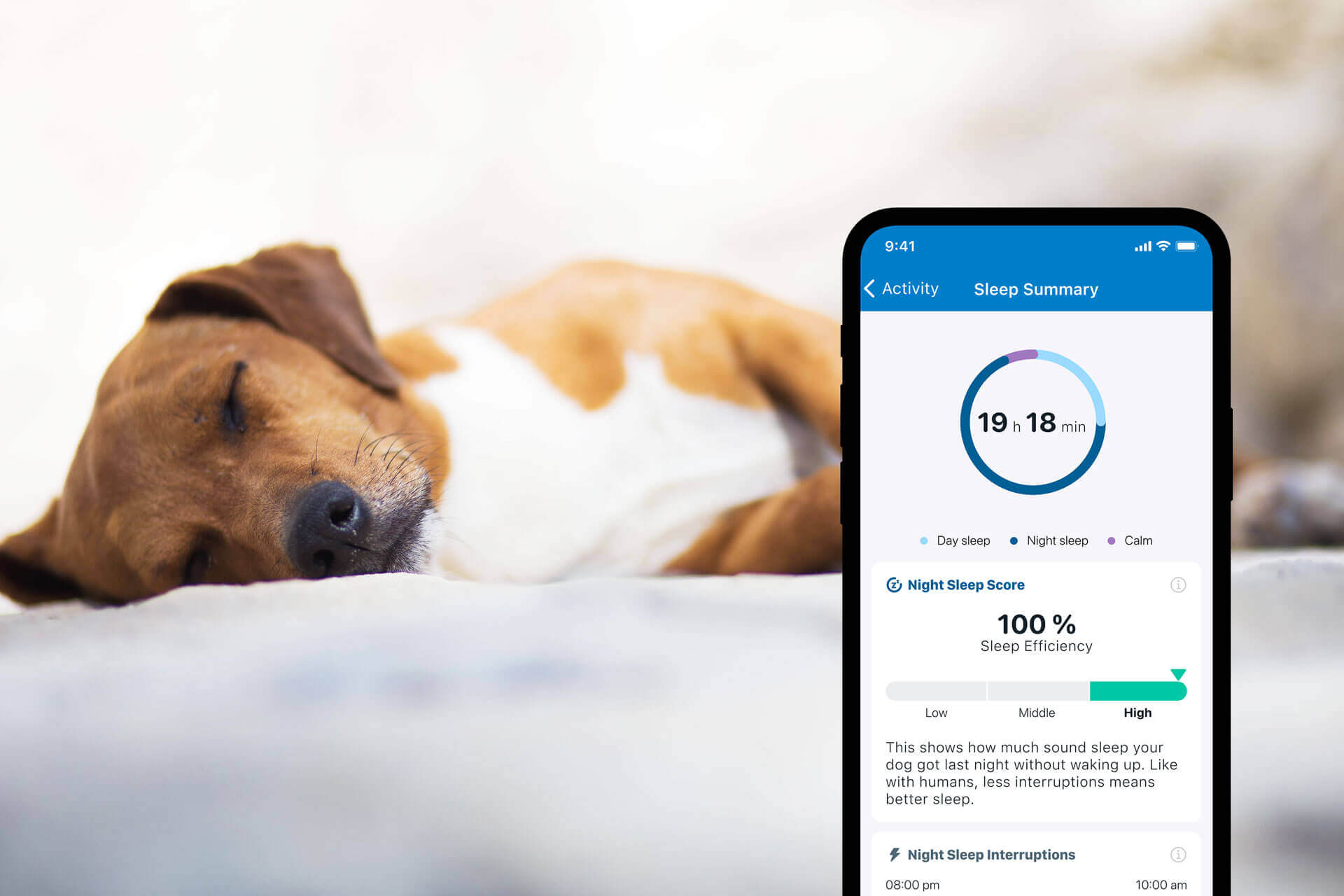 A dog sleeping in the background, smartphone with Tractive GPS app Sleep Monitoring in the foreground