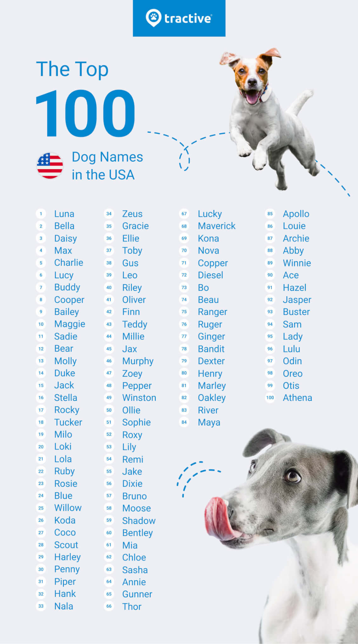 list of 100 top dog names in the USA according to Tractive infographic