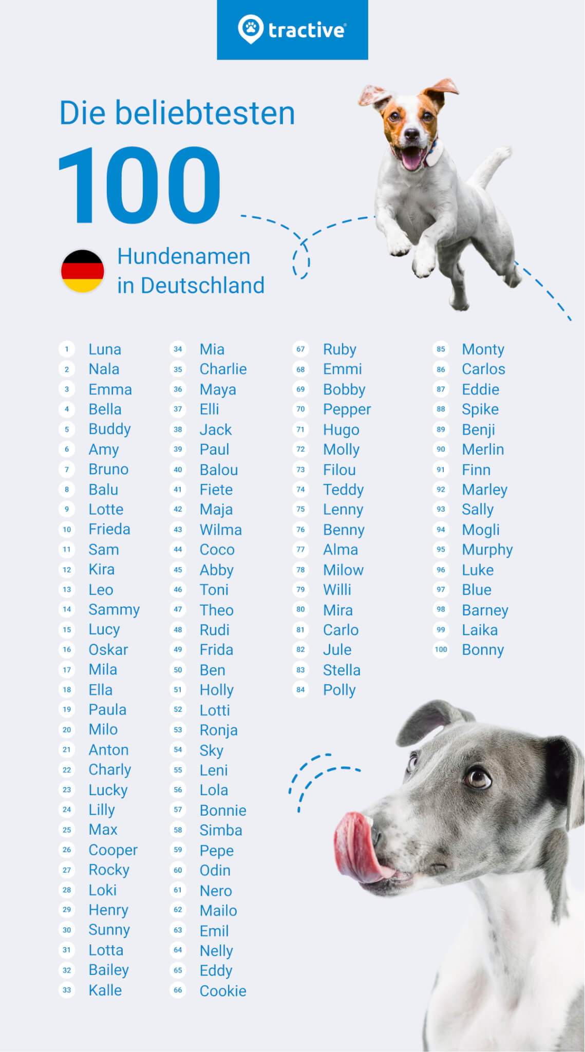 Top 100 Hundenamen in Deutschland