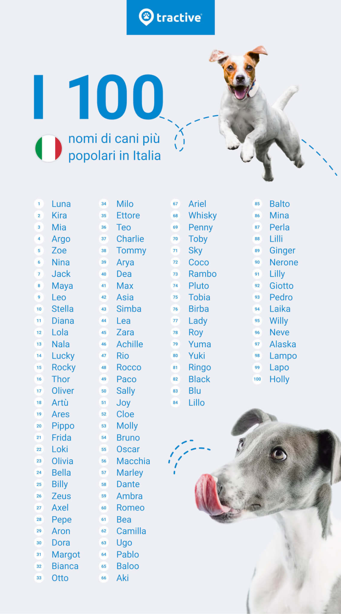 i 100 nomi di cani più popolari in Italia
