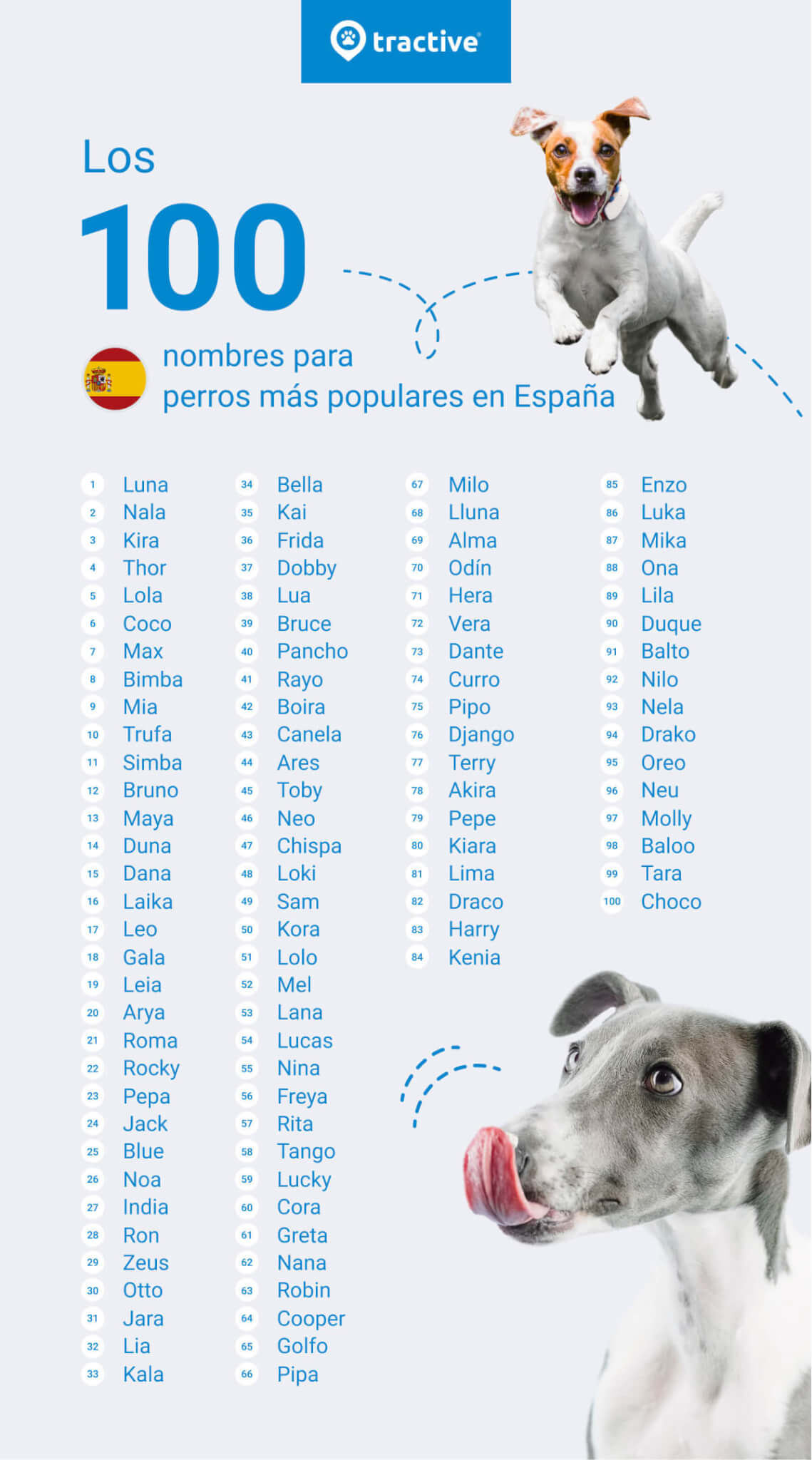 Top 100 nombres de perro en España