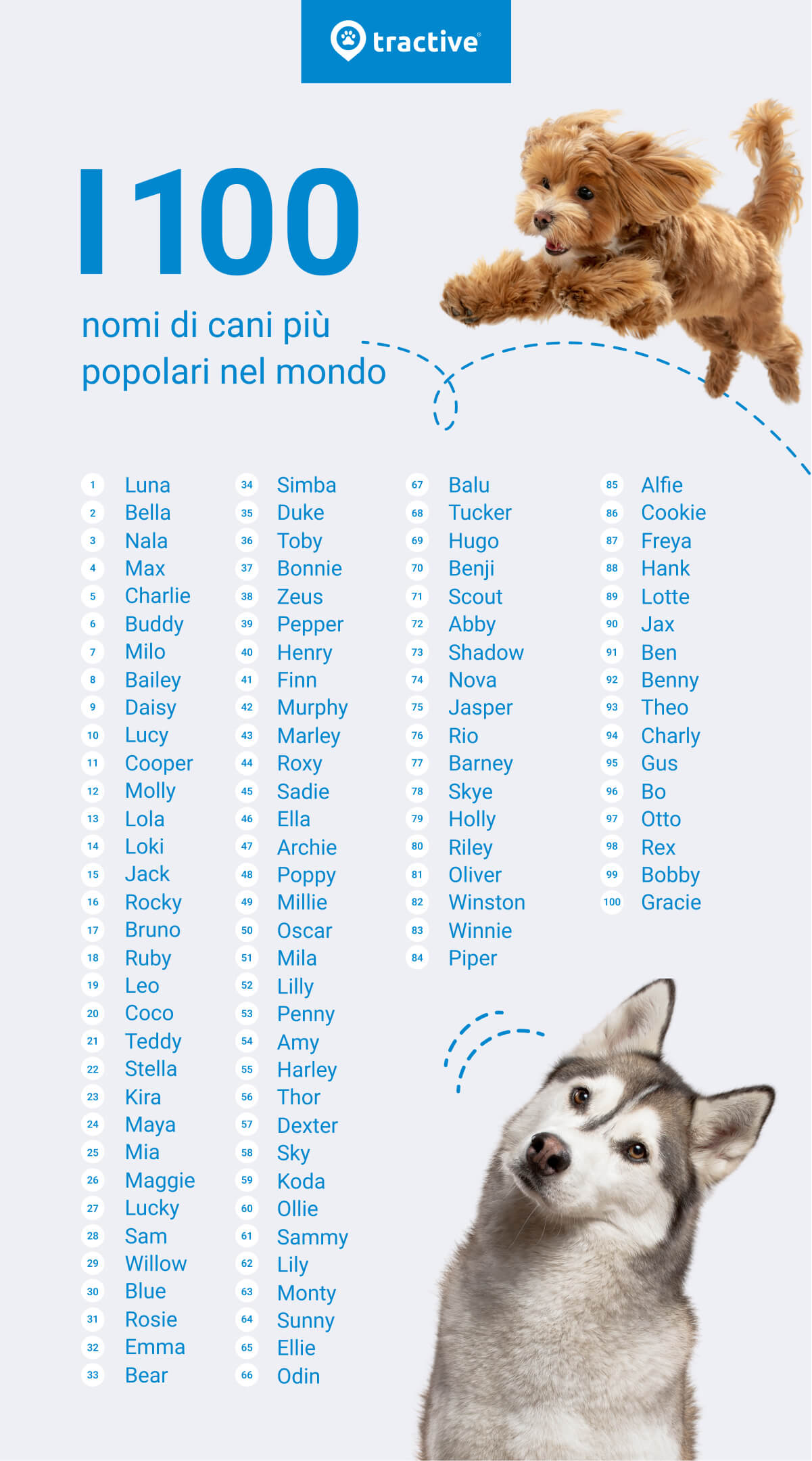 i 100 nomi di cani più popolari nel mondo