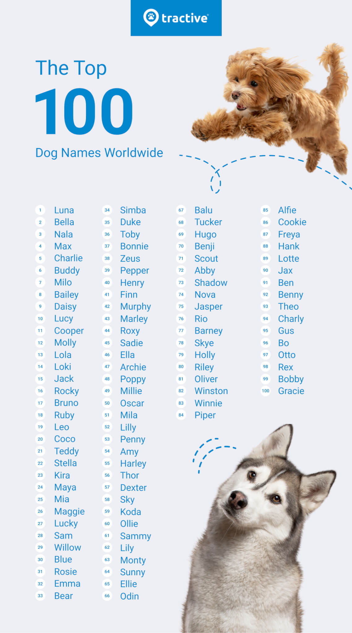 infographic list of the 100 top dog names worldwide according to Tractive 