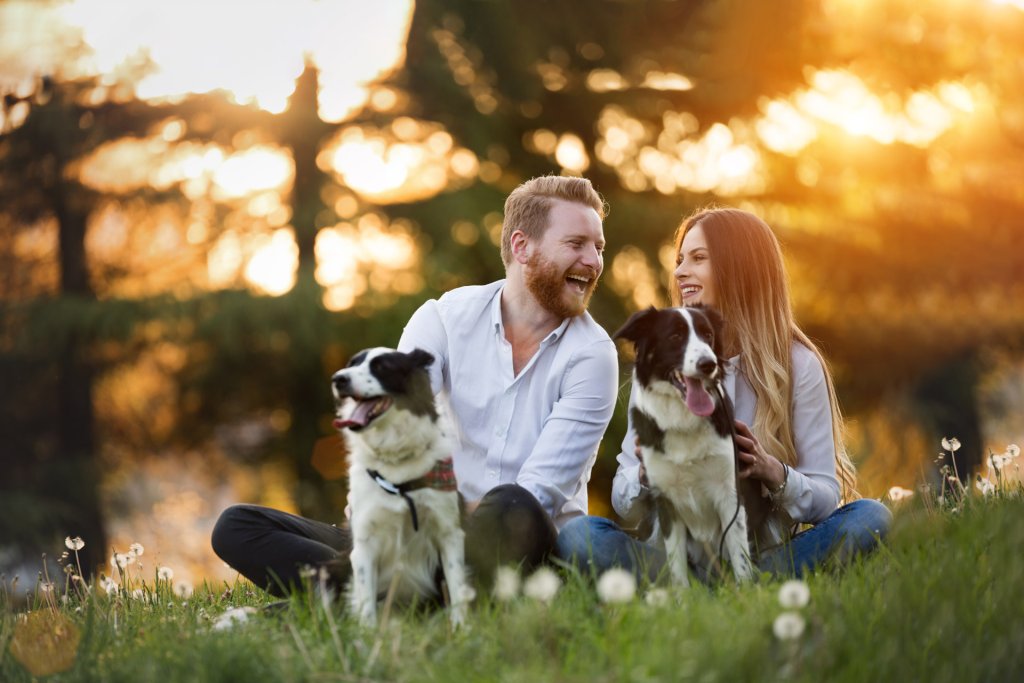 Mann und Frau sitzen mit zwei Hunden im Gras bei einer Pause vom Gassi gehen