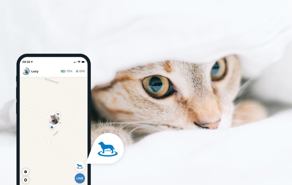 Katze versteckt sich unter Decke plus Tractive-App mit Kartenansicht