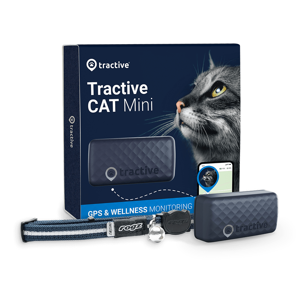 Localizador GPS Tractive CAT Mini con un collar de seguridad