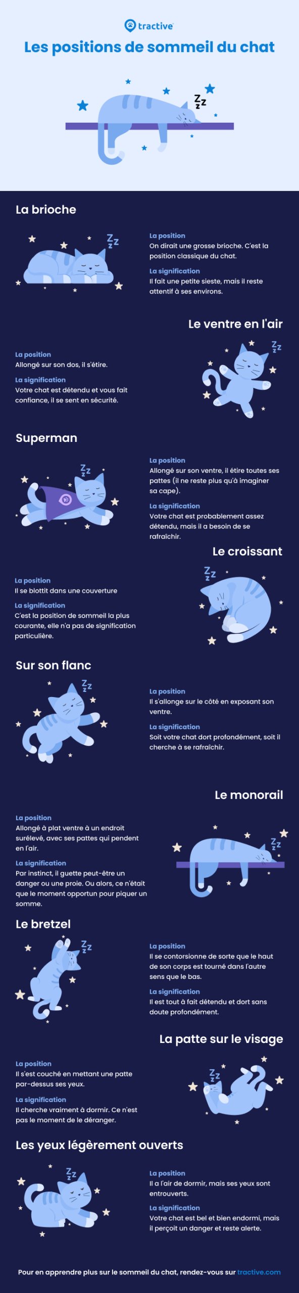 Les positions de sommeil du chat