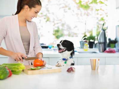 woman in kitchen chopping vegetables, dog looking up on counter