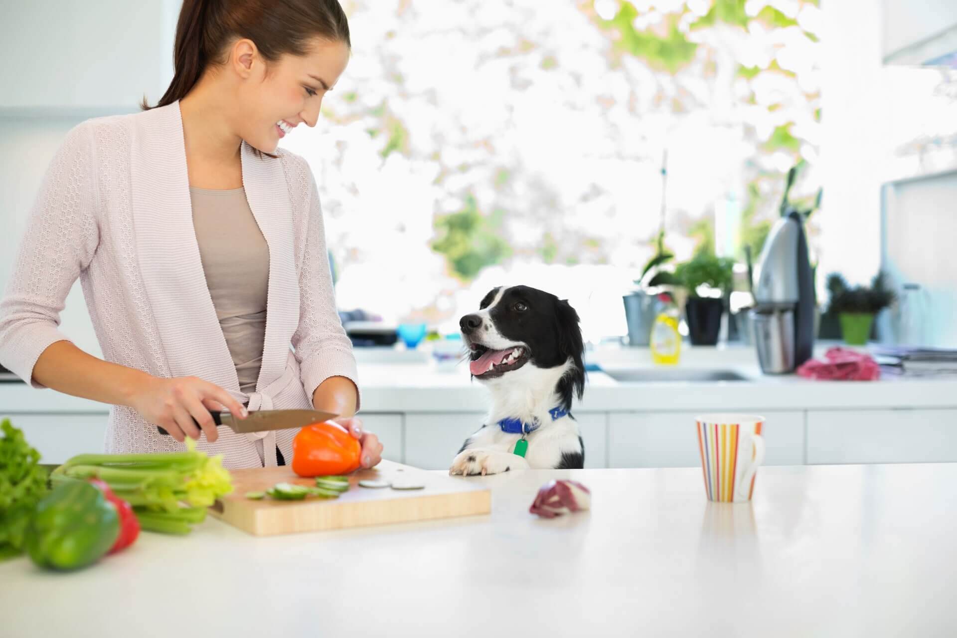 woman in kitchen chopping vegetables, dog looking up on counter