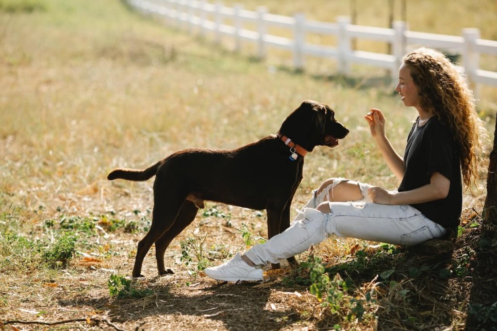 Frau sitzt im Freien und füttert einen schwarzen Hund