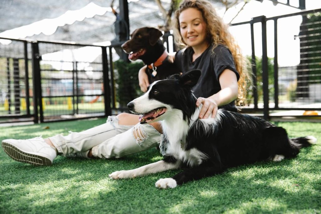 una donna abbraccia due cani seduta su un prato