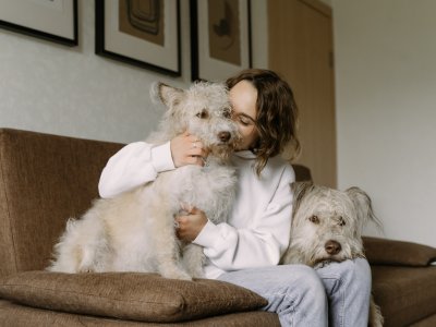 woman sitting on a couch next to two dogs