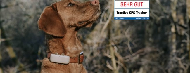 Hund trägt den GPS Tracker mit connect check! Logo