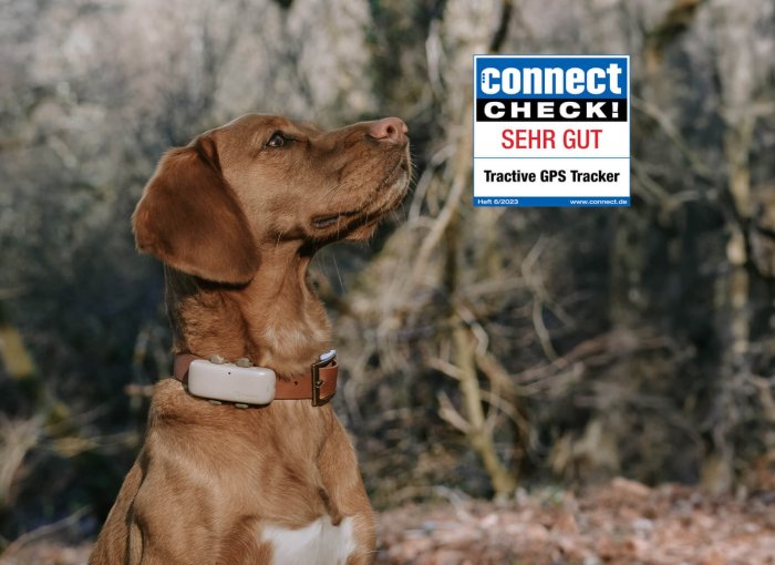 Hund trägt den GPS Tracker mit connect check! Logo
