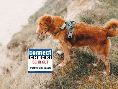 Hund trägt den GPS Tracker mit connect check! Logo