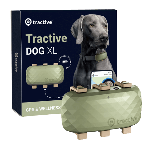 Verpackung des Tractive Dog Tracker XL 