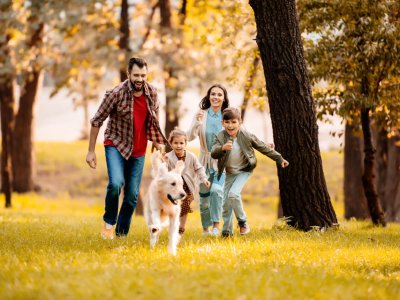 Familie läuft mit Hund in der Wiese