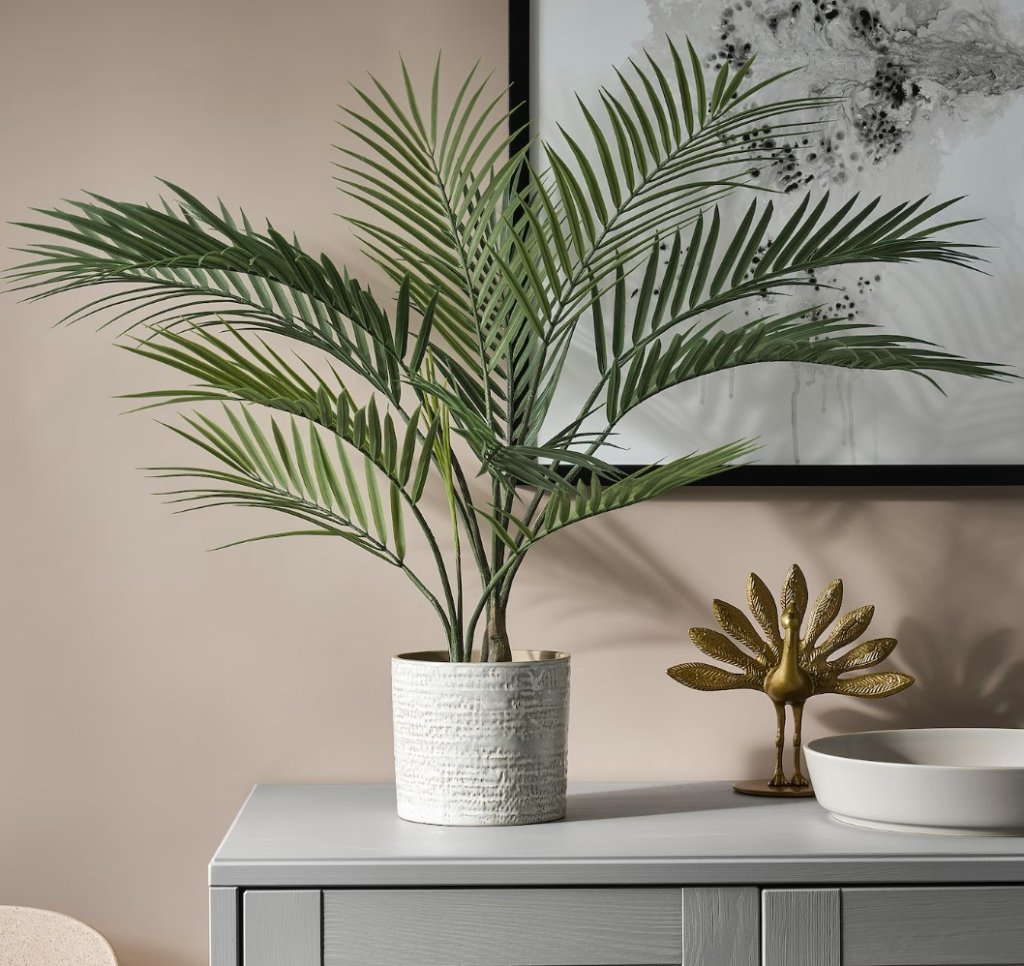 An indoor areca palm plant in a pot placed on a shelf.