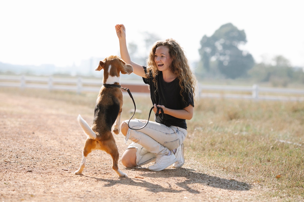 A woman training her dog outdoors