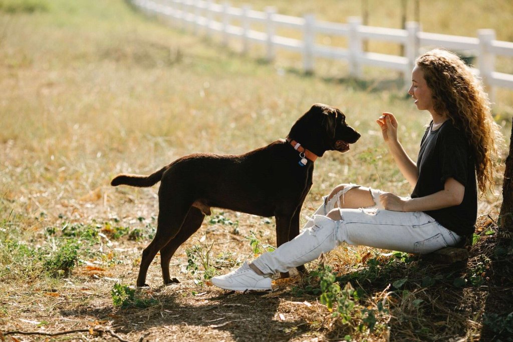 una donna siede all'aperto con il suo cane e tiene un mano un clicker 