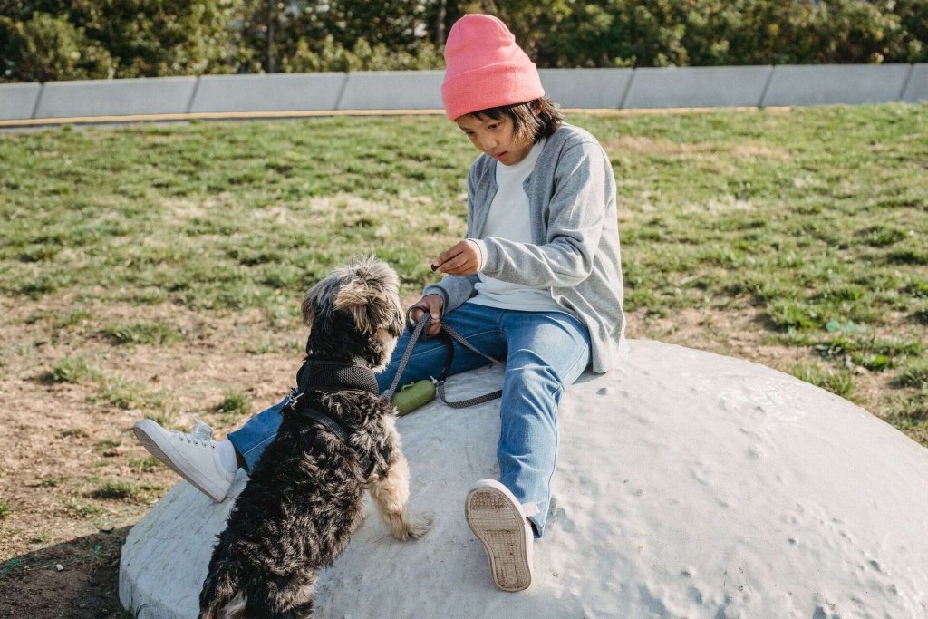 Ett barn som ger sin hund hundgodis efter att hunden har lärt sig att sitta.