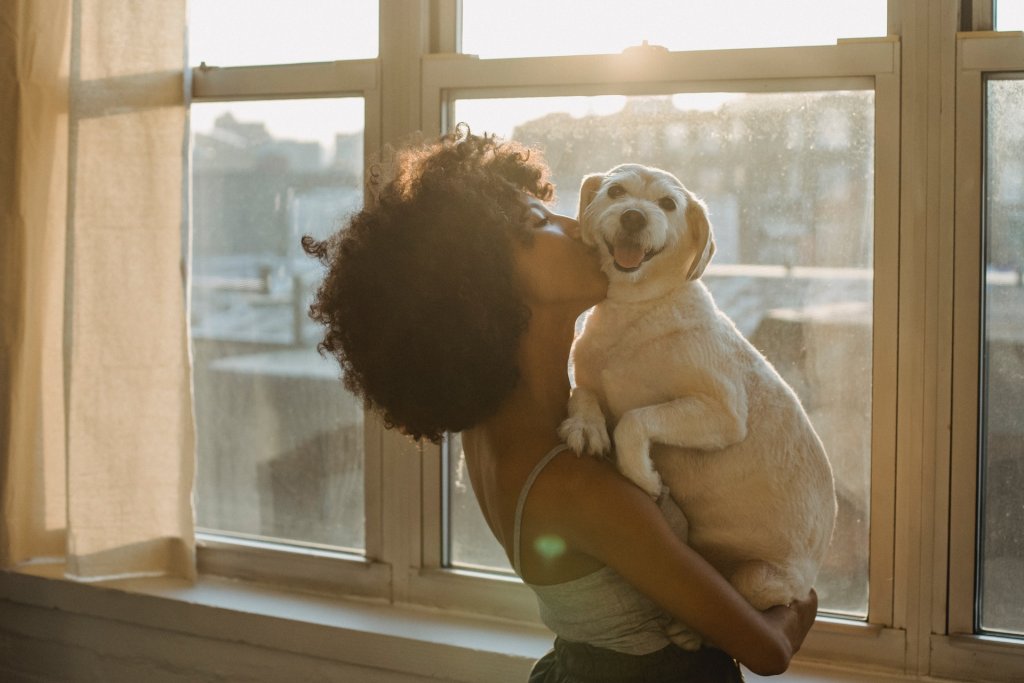 A woman cuddles her dog by a sunlit window.