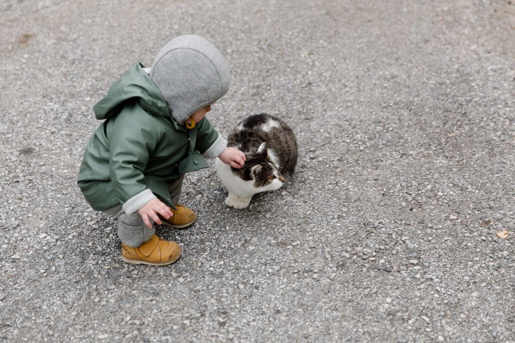 A child pets a cat.
