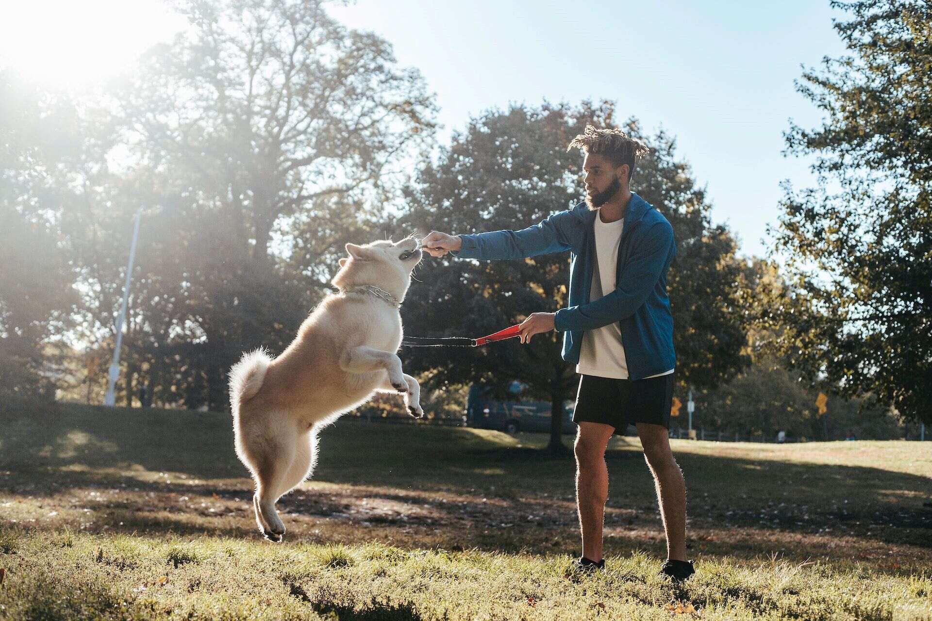 uomo addestra il suo cane con un clicker all'aperto