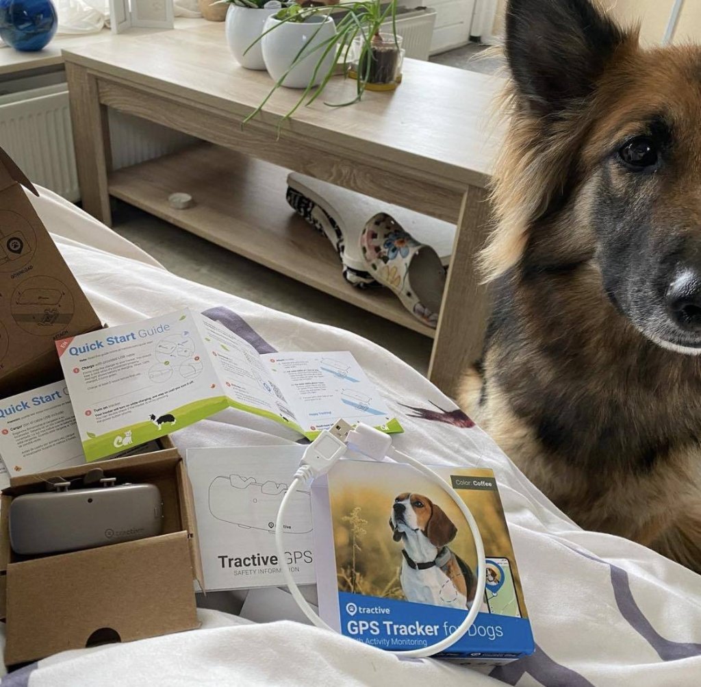 Levi, a PTSD-trained service dog, with her Tractive GPS