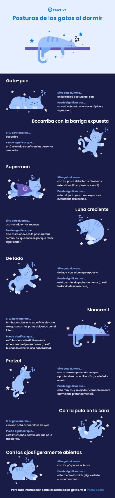 Posturas de los gatos al dormir