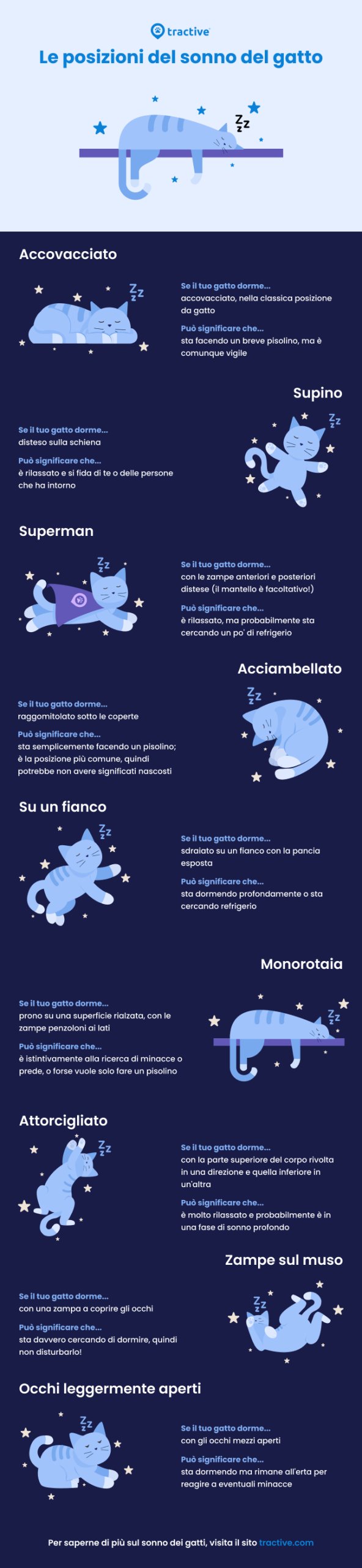 Le posizioni del sonno del gatto