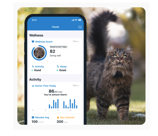 capture d'écran du moniteur de bien-être Tractive, et un chat tigré dans un jardin avec son GPS Tractive étanche