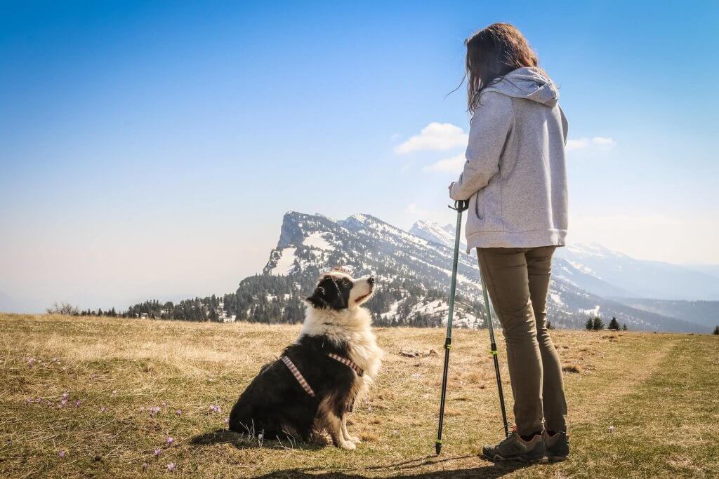 chien noir et blanc assis au bord d'un chemin de randonnée en montagne avec une jeune femme