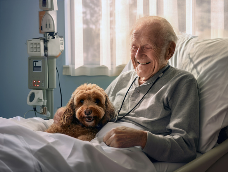 Älterer Mann in Krankenbett mit Hund am Schoß