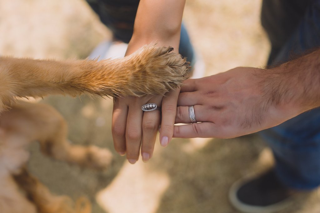 A therapy dog placing their paw on a woman's hand