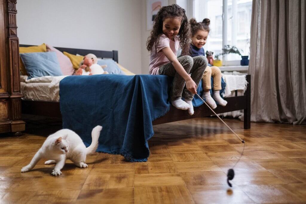 Kids playing with a white cat