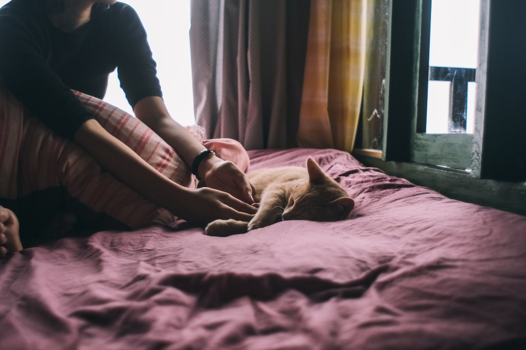 A woman cuddling with her cat on a bed