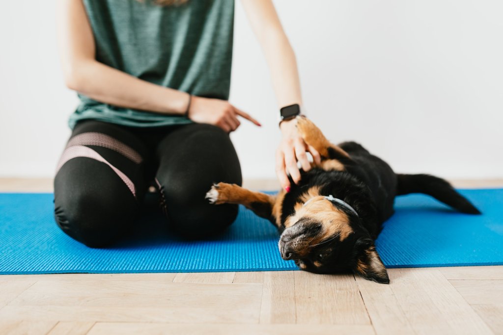 A woman instructs her dog to roll over on a yoga mat