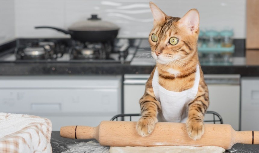 A cat with their paws on a rolling pin and dough