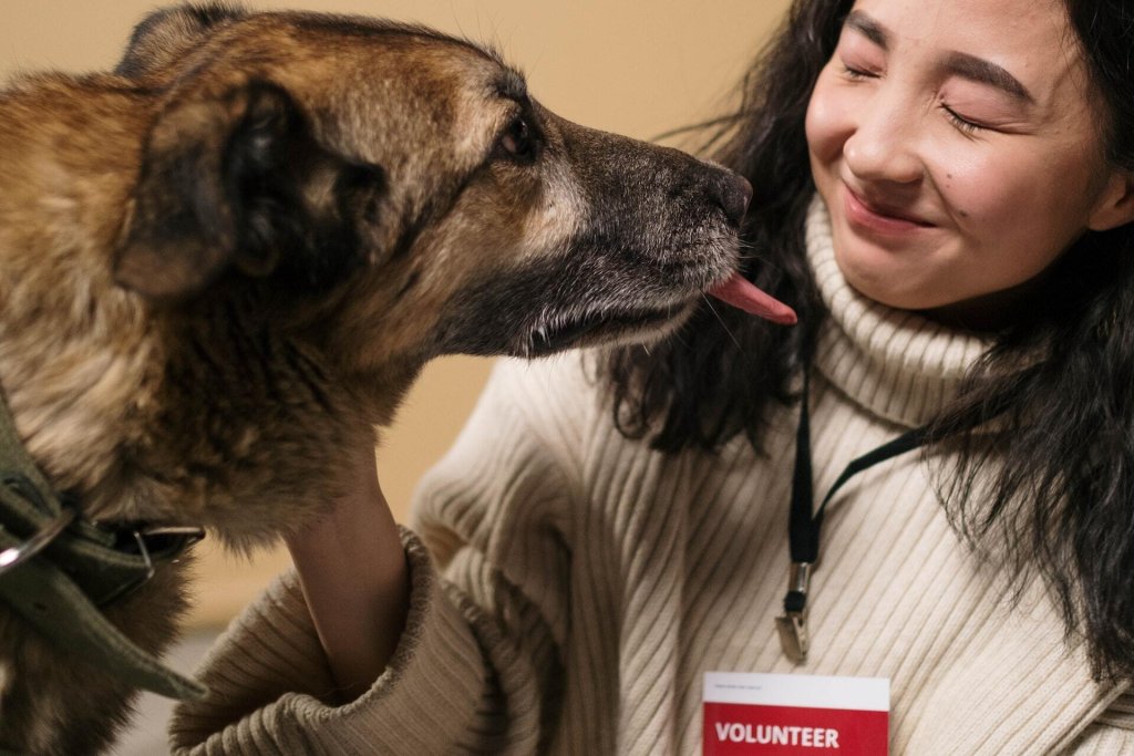 A woman volunteering at an animal shelter and spending time with a dog