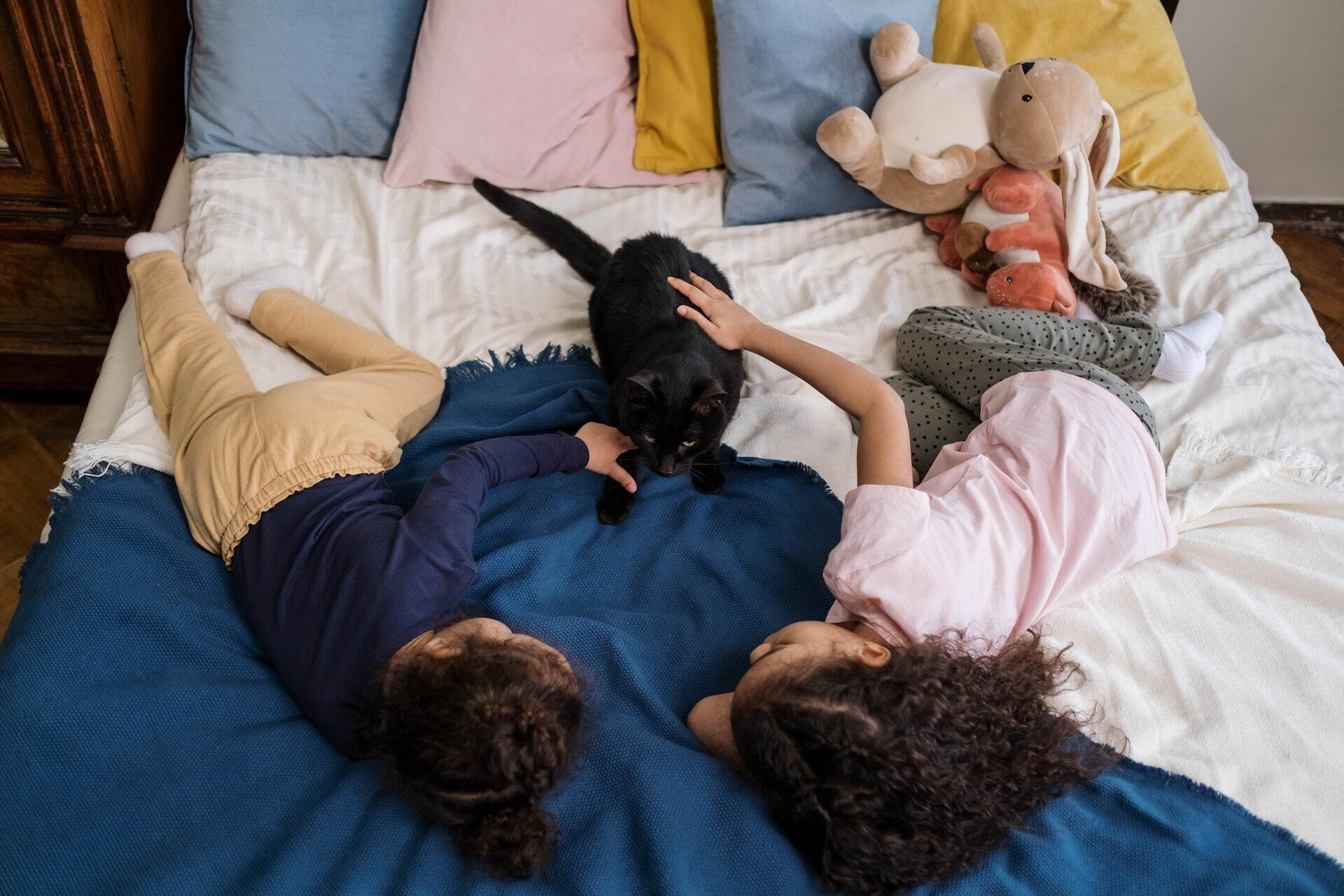 Children lying with a cat in bed