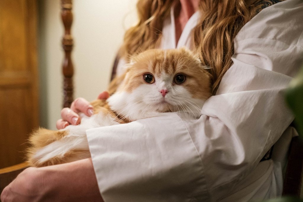 A woman holding her cat in her arms