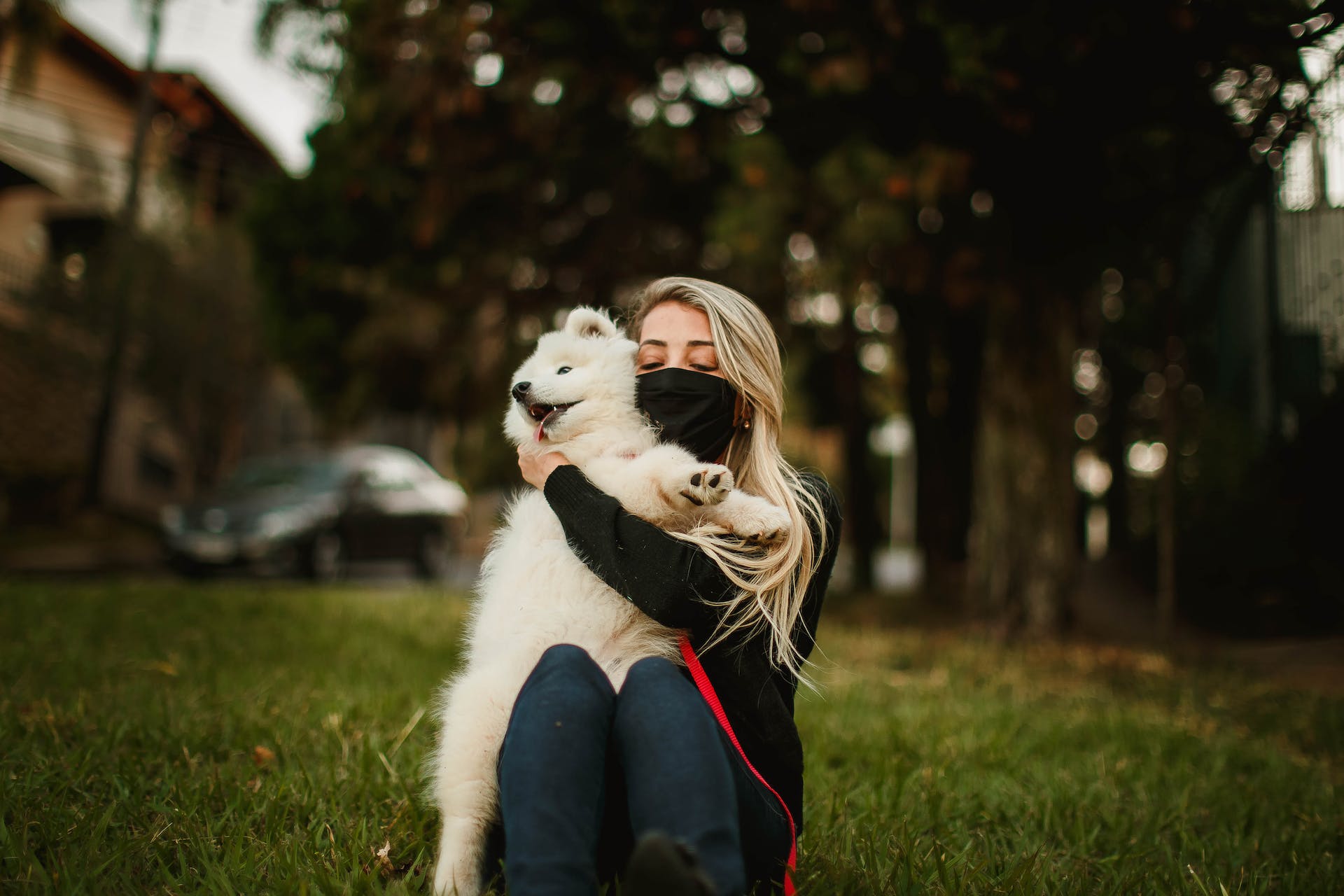 A woman wearing a COVID mask hugging a Samoyed puppy