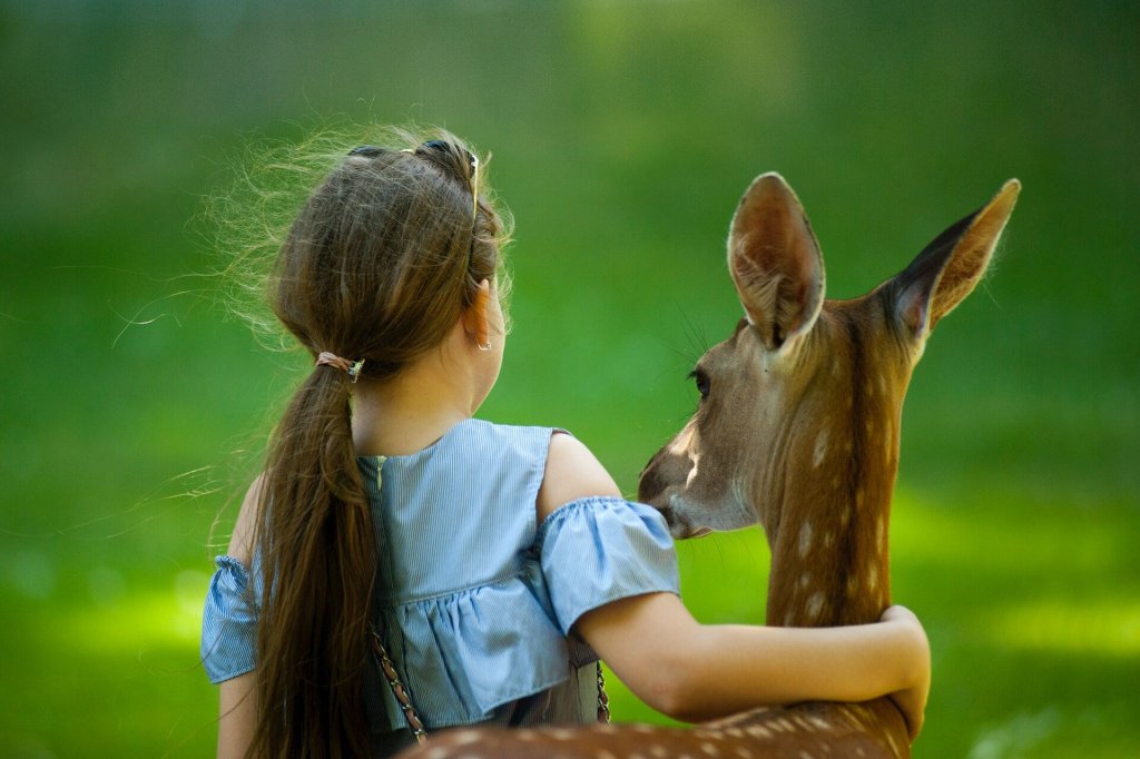 A girl hugging a deer in a national park
